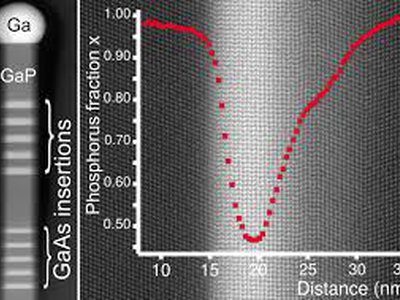 HAADF-STEM of a GaP/GaAsP NW and caption evidencing a typical GaP/GaAsP/GaP HAADF profile